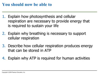 You should now be able to Explain how photosynthesis and cellular respiration are necessary to provide energy that is required to sustain your life Explain why breathing is necessary to support cellular respiration Describe how cellular respiration produces energy that can be stored in ATP Explain why ATP is required for human activities Copyright © 2009 Pearson Education, Inc. 