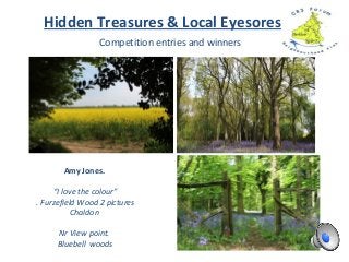 Competition entries and winners
Hidden Treasures & Local Eyesores
Amy Jones.
“I love the colour”
. Furzefield Wood 2 pictures
Chaldon
Nr View point.
Bluebell woods
 
