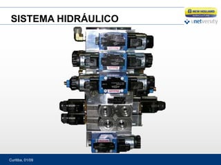 Curitiba, 01/09
SISTEMA HIDRÁULICO
 