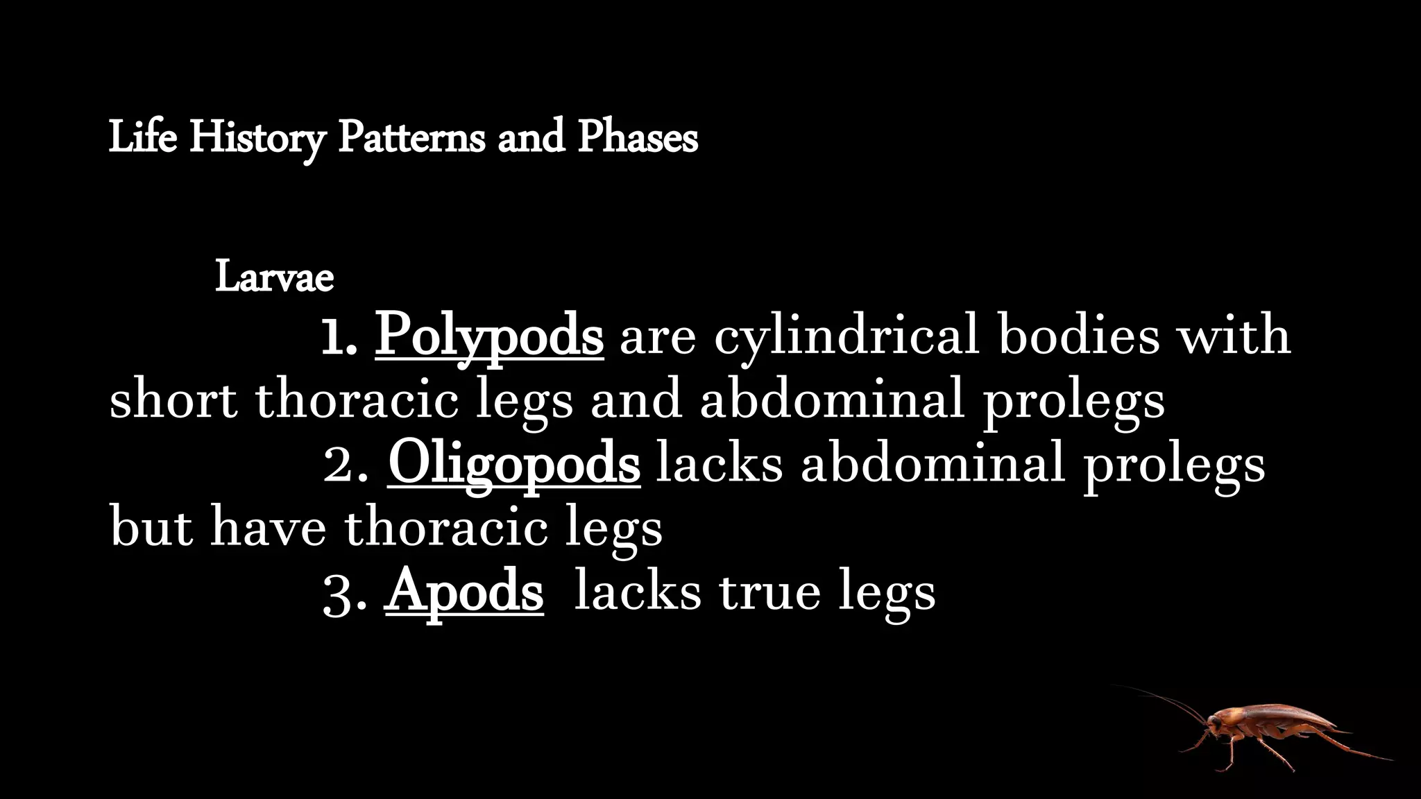 Chapter VI – Insect Development and Life Histories | PPTX