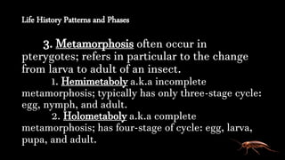 Life History Patterns and Phases
3. Metamorphosis often occur in
pterygotes; refers in particular to the change
from larva to adult of an insect.
1. Hemimetaboly a.k.a incomplete
metamorphosis; typically has only three-stage cycle:
egg, nymph, and adult.
2. Holometaboly a.k.a complete
metamorphosis; has four-stage of cycle: egg, larva,
pupa, and adult.
 