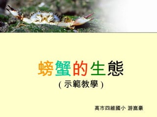 螃 蟹 的 生 態 ( 示範教學 ) 高市四維國小 游崑豪  
