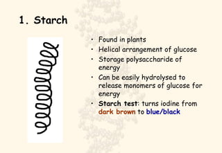 1. Starch Found in plants Helical arrangement of glucose Storage polysaccharide of energy Can be easily hydrolysed to release monomers of glucose for energy Starch test : turns iodine from  dark brown  to  blue/black 