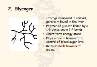 2. Glycogen Storage compound in animals, generally found in the liver Polymer of glucose linked by    1-6 bonds and    1-4 bonds Short term energy store Plays a role in homeostatic control of blood sugar level Remains  dark brown  with iodine 