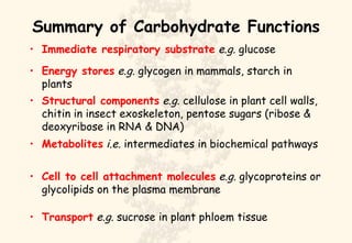 Summary of Carbohydrate Functions Immediate respiratory substrate   e.g.  glucose Energy stores   e.g.  glycogen in mammals, starch in plants Structural components   e.g.  cellulose in plant cell walls, chitin in insect exoskeleton, pentose sugars (ribose & deoxyribose in RNA & DNA) Metabolites   i.e.  intermediates in biochemical pathways Cell to cell attachment molecules   e.g.  glycoproteins or glycolipids on the plasma membrane Transport   e.g.  sucrose in plant phloem tissue 