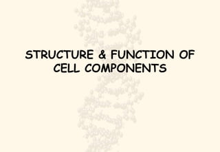 STRUCTURE & FUNCTION OF CELL COMPONENTS 