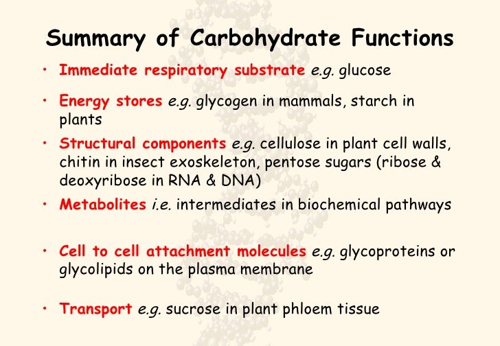 The Structure and Function of Carbohydrates