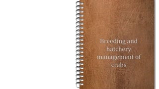 Breeding and
hatchery
management of
crabs
 