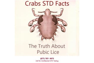 (877) 787- 4875
Call for Confidential STD Testing
 