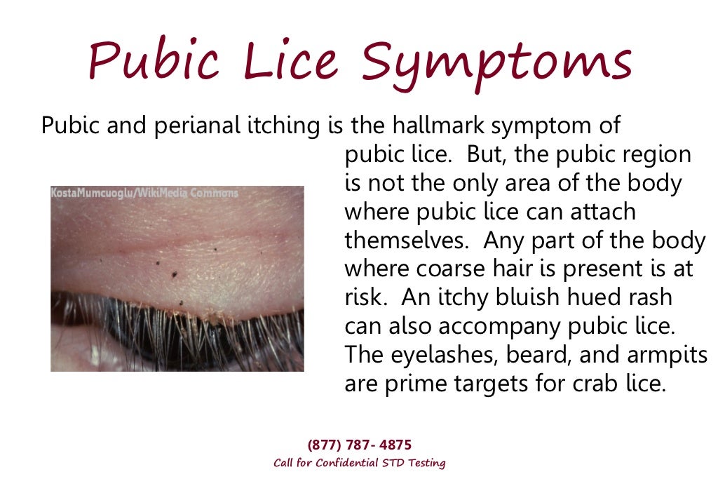 Crabs STD Why You're At Risk!