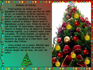 Brăduţul de Crăciun
Primii brăduţi de Crăciun au fost
împodobiţi în Alsacia, acum mai bine de 1000
de ani, cu trandafiri de hârtie colorată, cu
dulciuri, cu mere. De 200 de ani încoace,
peste tot se împodobesc brazi cu beteală,
globuri colorate şi dulciuri. Bunicii noştri îi
împodobeau cu mere, nuci, forme de aluat şi
aţă colorată. În toată lumea, merele au fost
folosite la început în loc de globuri şi însemnau
tinereţea veşnică, ca şi culoarea veşnic verde
a bradului. În vârful bradului, se aşează de
obicei o steluţă: este Steaua Polară, din
ţinuturile de gheaţă de la Polul Nord, unde
locuieşte Moş Crăciun.
Orice brăduţ are şi lumini. Bătrânii spun
că lumânările şi luminiţele din bradul de
Crăciun alungă răul din lume, din casă, din
suflet.
 