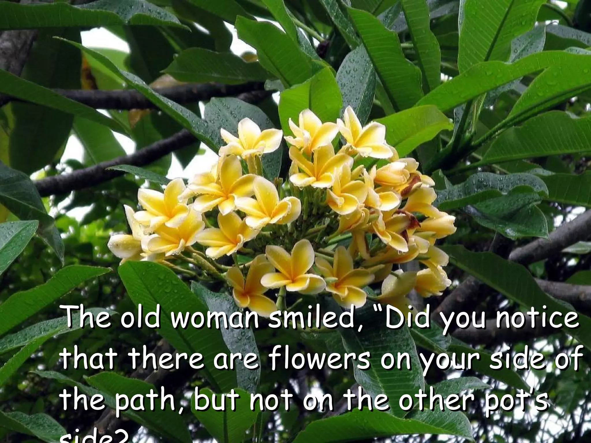 The old woman smiled, “Did you notice that there are flowers on your side of the path, but not on the other pot’s side?  