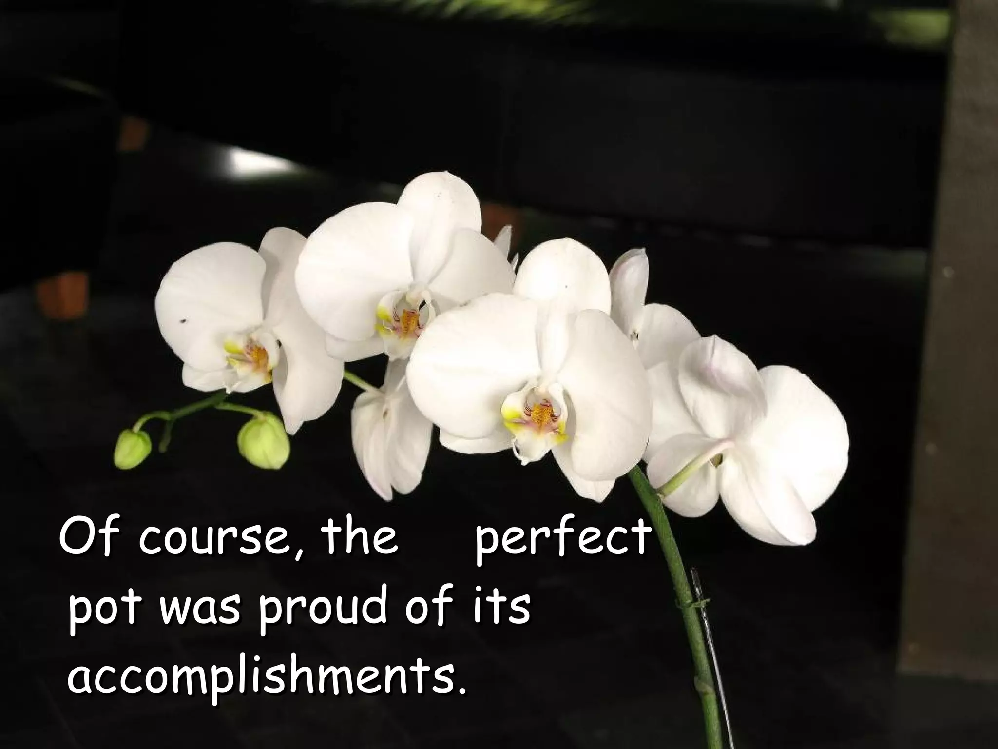 Of course, the  perfect pot was proud of its accomplishments.  