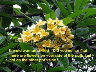 The old woman smiled, “Did you notice that there are flowers on your side of the path, but not on the other pot’s side?  
