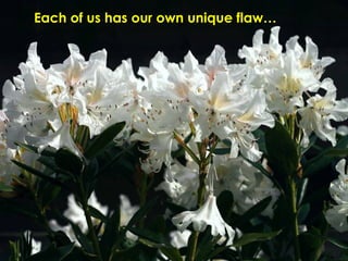 Each of us has our own unique flaw… 