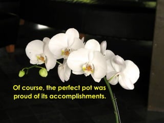 Of course, the perfect pot was  proud of its accomplishments.  