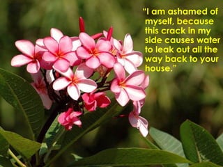 “ I am ashamed of myself, because this crack in my side causes water to leak out all the way back to your house.”  