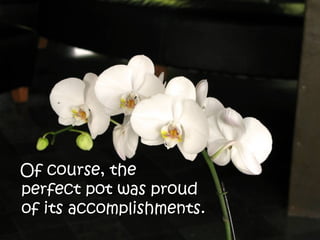Of course, the
perfect pot was proud
of its accomplishments.
 
