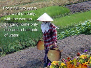 For a full two years this went on daily, with the woman bringing home only one and a half pots of water. 