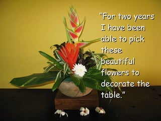 “ For two years I have been able to pick these beautiful flowers to decorate the table.” 