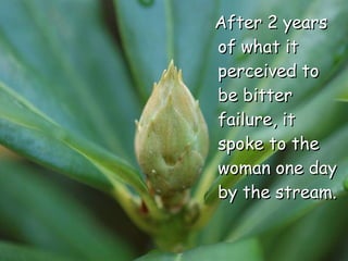 After 2 years of what it perceived to be bitter failure, it spoke to the woman one day by the stream. 