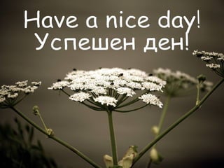 Have a nice day! Успешен ден! 