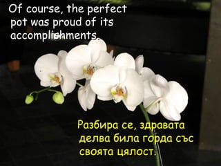 Of course, the perfect pot was proud of its accomplishments.  Разбира се, здравата делва била горда със своята цялост.   