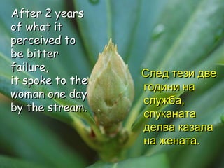 After 2 years  of what it perceived to be bitter failure,  it spoke to the woman one day by the stream. След тези две години на служба,  спуканата делва казала на жената. 