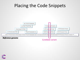 Placing the Code Snippets

ACTGGTGAAAA

CGTACTGGTGA
CAGGAACGTAC
CCTGGCAGCCA

TGGTGAAAACA

TCAAGATCACA

GTCAAGATCAC
TGTCAAGATCA

TTTGGGCTGGC
TTTTGGGCTGG

………GACCTGGCAGCCAGGAACGTACTGGTGAAAACACCGCAGCATGTCAACATCACAGATTTTGGGCTGGCCAAACT………

Reference genome

Candidate variant

 
