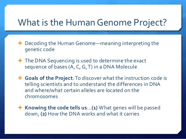 what is the human genome project