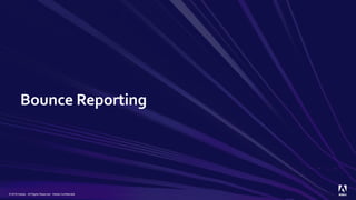 Bounce Reporting
© 2019 Adobe. All Rights Reserved. Adobe Confidential.
 