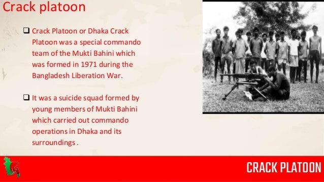 Crack platoon 1971 movie Crack platoon 1971 movie