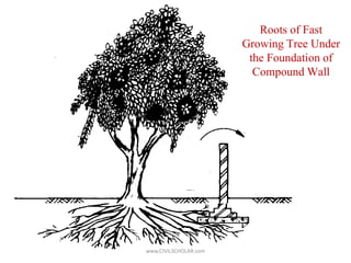 Roots of Fast
Growing Tree Under
the Foundation of
Compound Wall
www.CIVILSCHOLAR.com
 