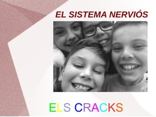 EL SISTEMA NERVIÓS
ELS CRACKS
 
