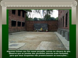 Algumas tinham seu fim nesse paredão, outras na câmara de gás.  Observe que as janelas dos pavilhões laterais eram fechadas,  para que seus ocupantes não presenciassem as execuções... 