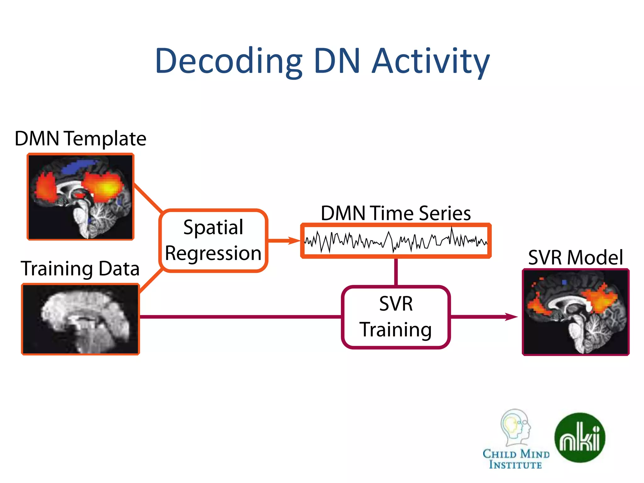 Decoding DN Activity
 