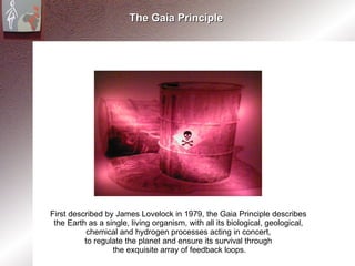 The Gaia Principle First described by James Lovelock in 1979, the Gaia Principle describes  the Earth as a single, living organism, with all its biological, geological,  chemical and hydrogen processes acting in concert,  to regulate the planet and ensure its survival through  the exquisite array of feedback loops. 