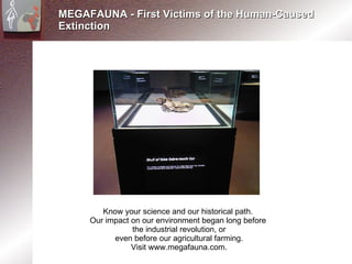 MEGAFAUNA - First Victims of the Human-Caused Extinction Know your science and our historical path.  Our impact on our environment began long before  the industrial revolution, or even before our agricultural farming. Visit www.megafauna.com. 