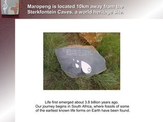 Maropeng is located 10km away from the Sterkfontein Caves, a world heritage site. Life first emerged about 3.8 billion years ago.  Our journey begins in South Africa, where fossils of some  of the earliest known life forms on Earth have been found. 