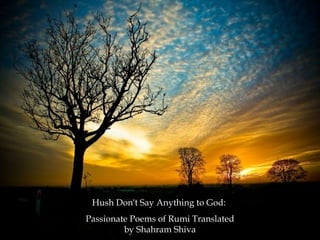 Hush Don't Say Anything to God:  Passionate Poems of Rumi Translated by Shahram Shiva 