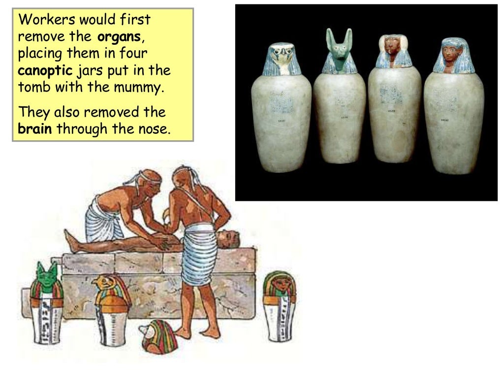Cradle of civilization