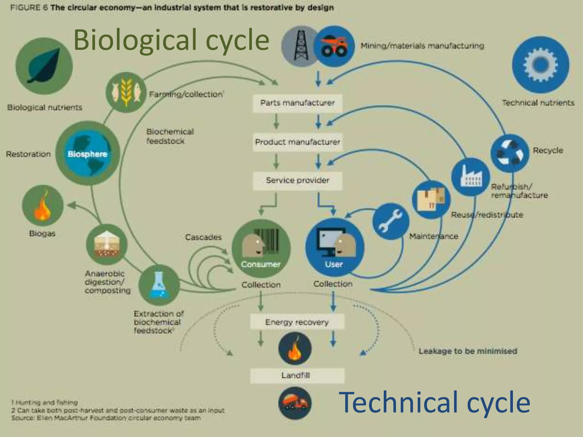 Biological cycle




                   Technical cycle
 