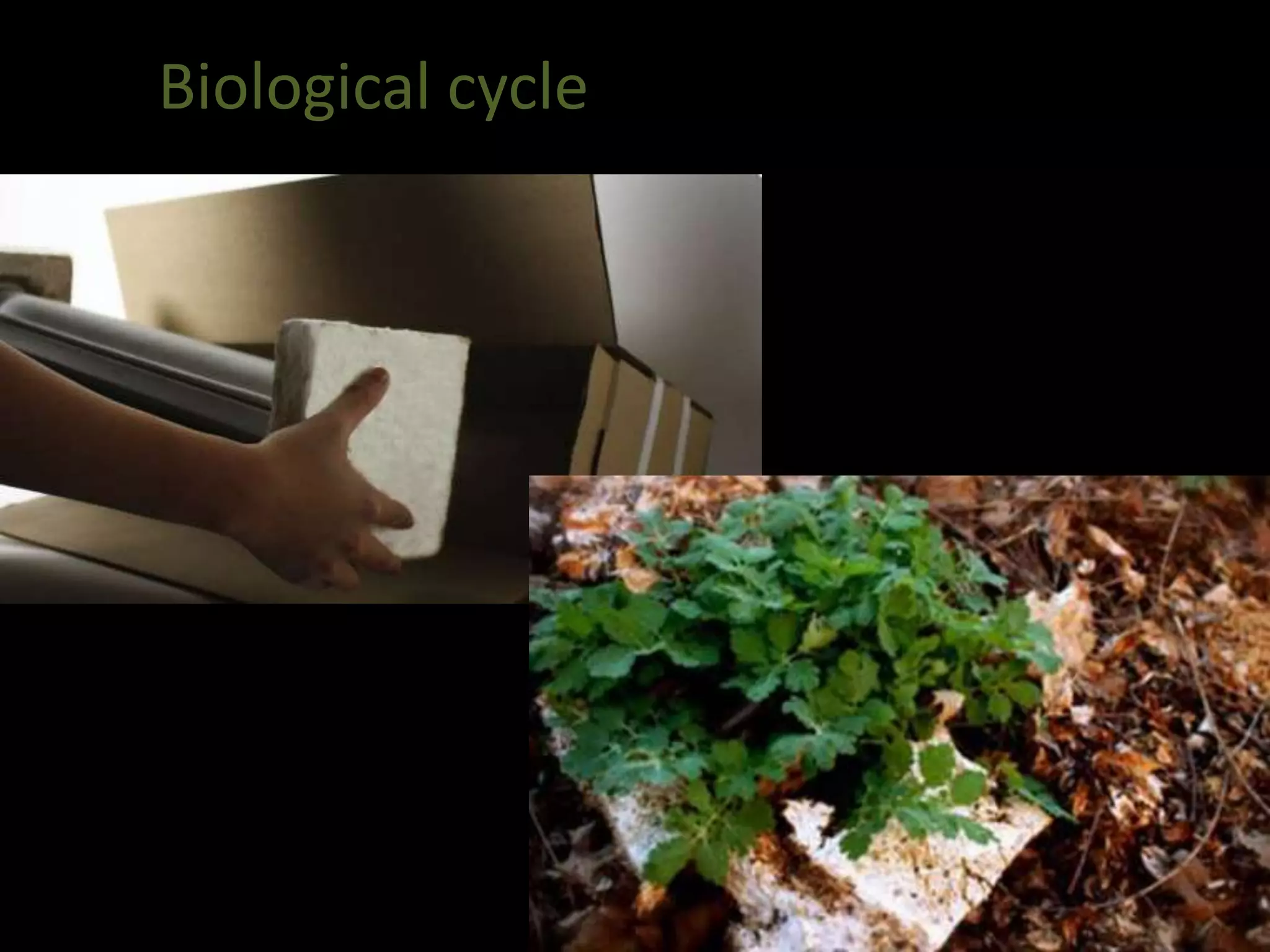 Biological cycle
 