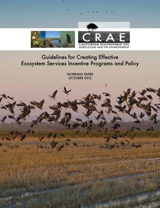 Guidelines for Creating Effective
Ecosystem Services Incentive Programs and Policy
Working Paper
October 2012

 