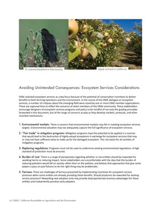 Tri-colored blackbird in Yolo County

Apple orchard in California

Avoiding Unintended Consequences: Ecosystem Services Considerations
CRAE selected ecosystem services as a key focus because of the potential of conservation incentives to deliver
benefits to both farming operations and the environment. In the course of the CRAE dialogue on ecosystem
services, a number of critiques about the emerging field were raised by one or more CRAE member organizations.
These are captured here to reflect the concerns of select members of the CRAE community. These stakeholders
encourage designers of ecosystem services programs and policy to be mindful of not only the guiding principles
forwarded in this document, but of the range of concerns at play as they develop markets, protocols, and other
incentive mechanisms.
1. Environmental markets: There is concern that environmental markets may fail in meeting ecosystem services

targets. Environmental valuation may not adequately capture the full significance of ecosystem services.
2. “Fair trade” in mitigation programs: Mitigation programs have the potential to be applied in a manner

that would lead to the destruction of highly valued ecosystems in exchange for ecosystem services that may
or may not have sufficient value to make up for the damaged ecosystem. This risk exists for all varieties of
mitigation programs.
3. Replacing regulations: Programs must not be used to undermine existing environmental regulations. A high
standard of protection must be ensured.
4. Burden of cost: There is a range of perspectives regarding whether or not entities should be rewarded for
avoiding harms or reducing impact. Some stakeholders are uncomfortable with the idea that the burden of
reducing pollution would fall on society rather than on the polluter, and believe that approaches that give some
players a pass on past failures to do the right thing may be problematic.
5. Fairness: There are challenges of fairness presented by implementing incentives for ecosystem service
provision when some entities are already providing these benefits. Should producers be rewarded for existing
service provision? Rewarding new adopters only may provide disproportionate business advantages for these
entities and inadvertently penalize early adopters.

4 | CRAE - California Roundtable on Agriculture and the Environment

 