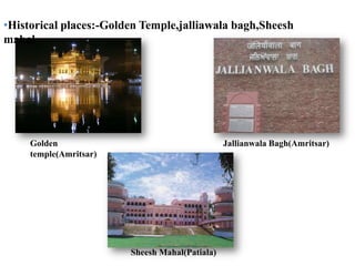 Durries Making:Nakodar and Jandiala