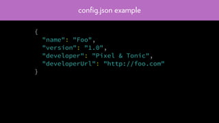 conﬁg.json example
{
"name": "Foo",
"version": "1.0",
"developer": "Pixel & Tonic",
"developerUrl": "http://foo.com"
}
 