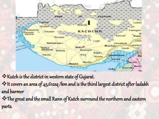Kutchis the districtin western state of Gujarat.
It covers an area of 45,612sq/kmand is the thirdlargest district after ladakh
and barmer
The great and the small Rannof Kutchsurround the northernand eastern
parts.
 