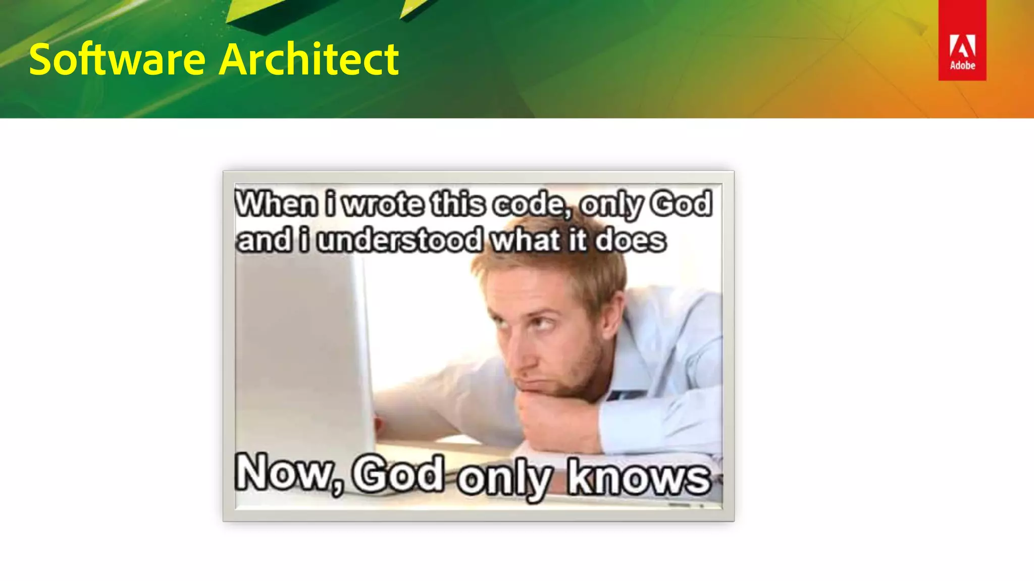 Software Architect
 