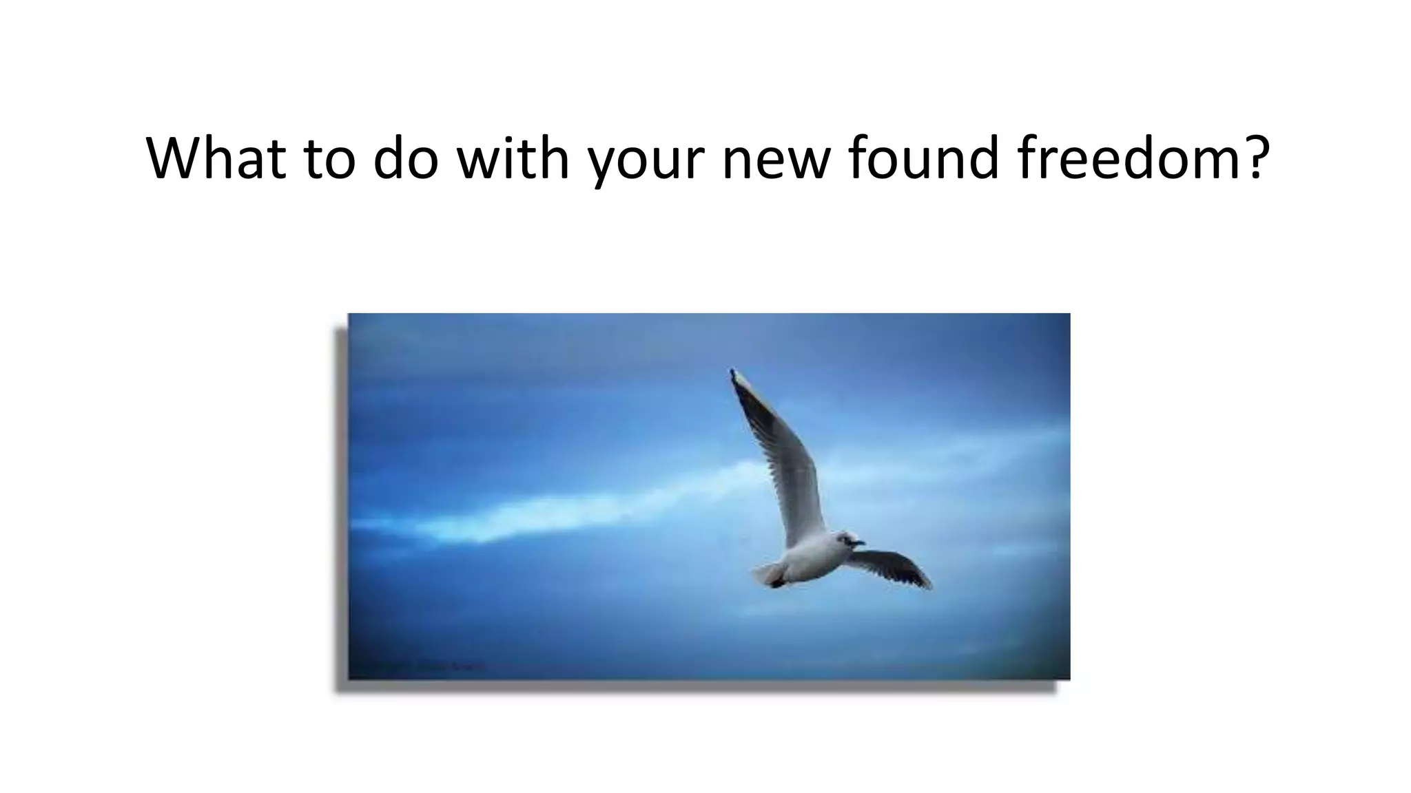What to do with your new found freedom?
 